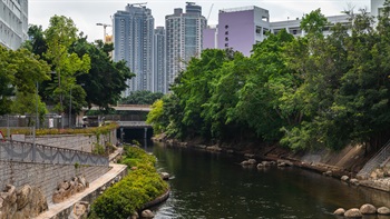 启德河被东九龙的住宅区和前工业区包围，是该区的主要排洪渠道，同时提供蓝绿基础设施。